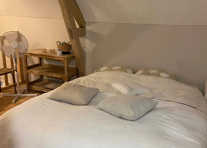 Le Brasseur Logements